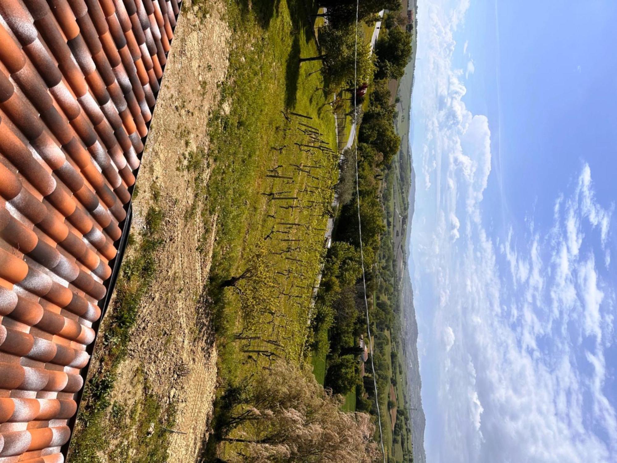 Bed and Breakfast La Sosta Di Guido A Тавуллия Экстерьер фото